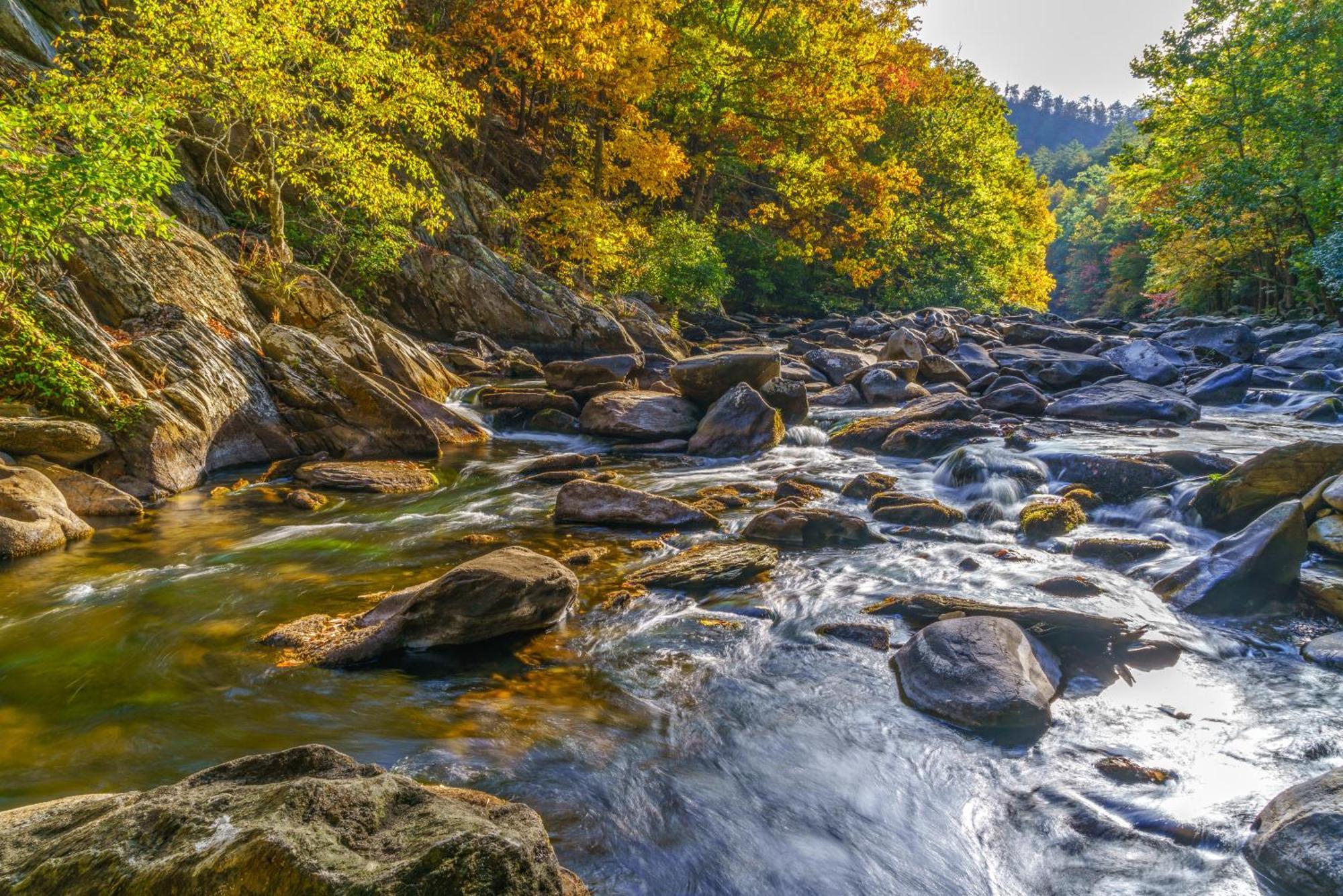Fawn Cabin Gatlinburg Dış mekan fotoğraf